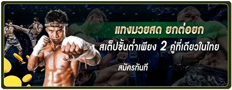 Tiger เว็บมวยอันดับ สำหรับคอมวยตัวจริง ราคาน้ำดีที่สุด ปก